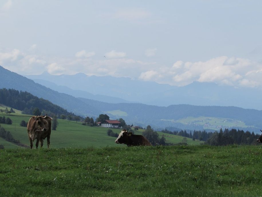 Entspannung pur