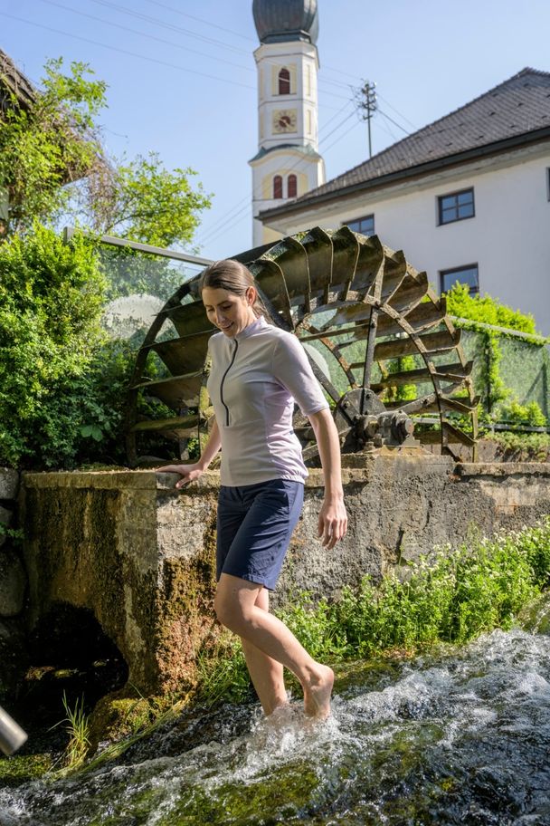 Alte Wassermühle in Waal