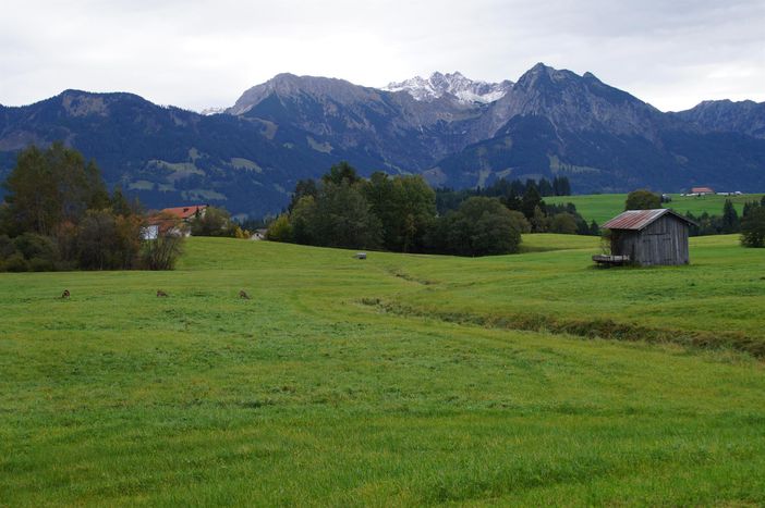 Blick vom Balkon