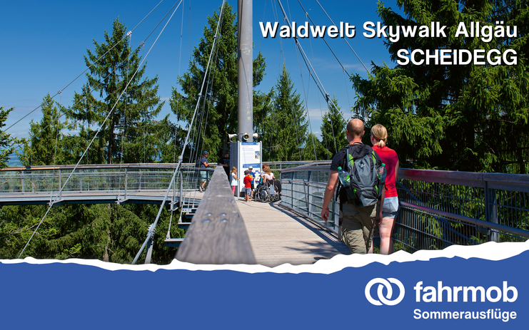 Nachhaltige Sommerausflüge zur Waldwelt Skywalk in Scheidegg