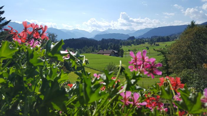 Blick vom Balkon
