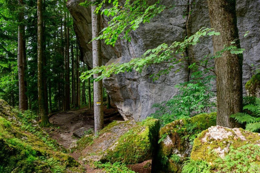 Rappenfluh und Engenlochschlucht – vom Felslabyrinth zur wilden Flusslandschaft