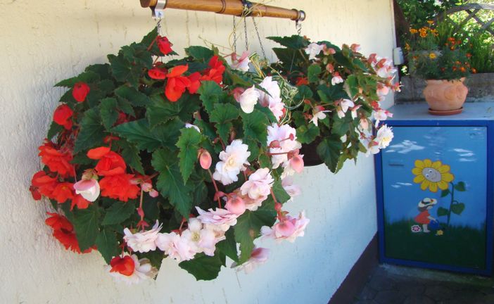 Blumen mit Restmüllbox