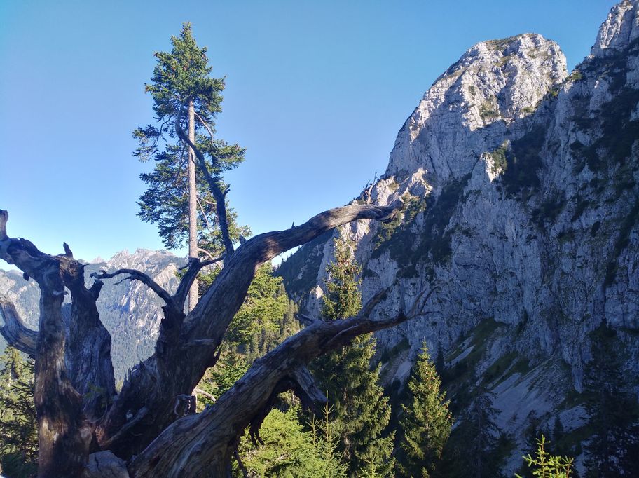 Weg um den Pilgerschrofen herum