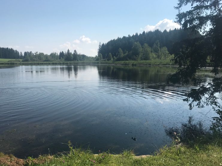 kuhstallweiher