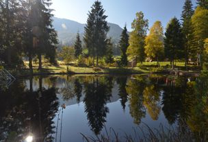 Badestelle Hochmoor - Abkühlung im gesunden Moorwasser in Oberjoch