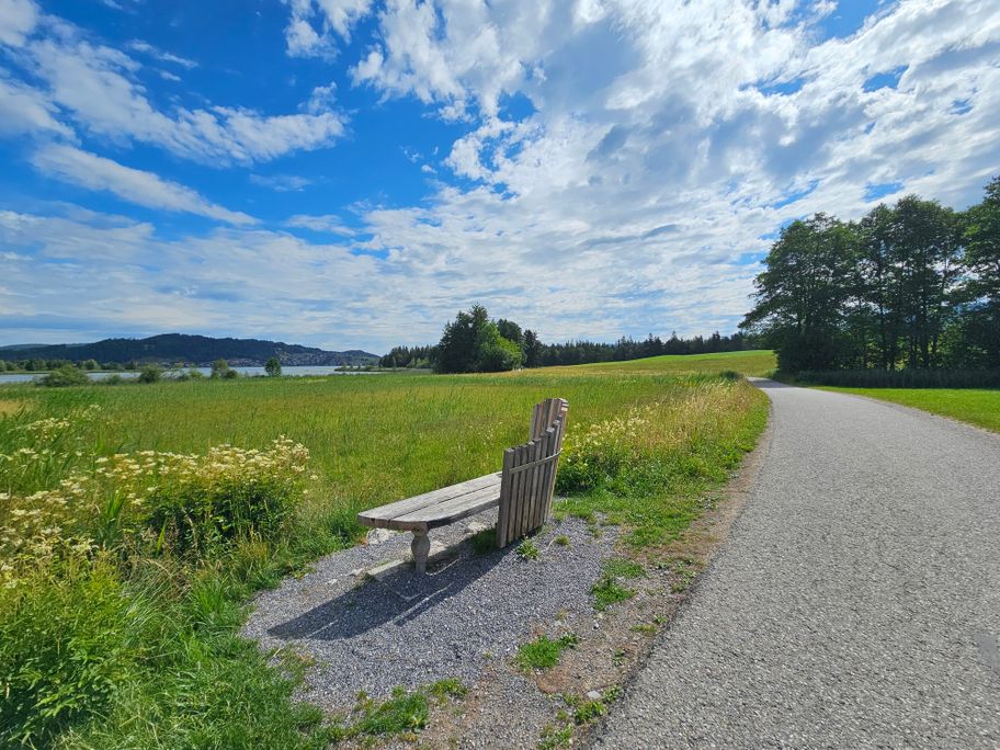 Schlossparkbank am südlichen Hopfensee