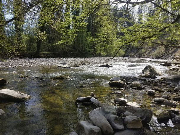 An der Oberen Argen
