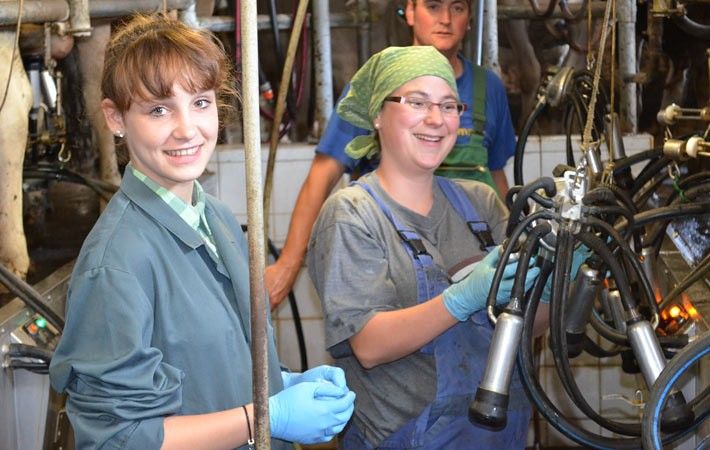 Im Stall ist bei uns Frauenpower angesagt