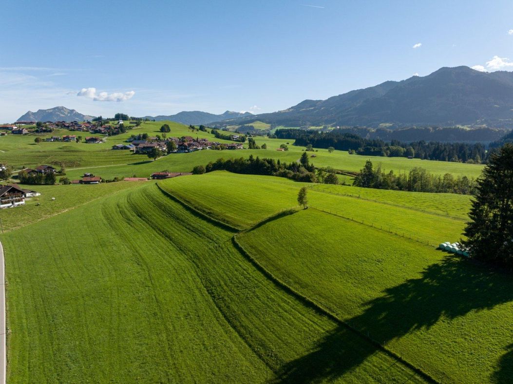 Luftaufnahme Wiesen bei Ried mit Bergpanorama