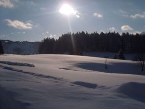 Blick aus dem Fenster