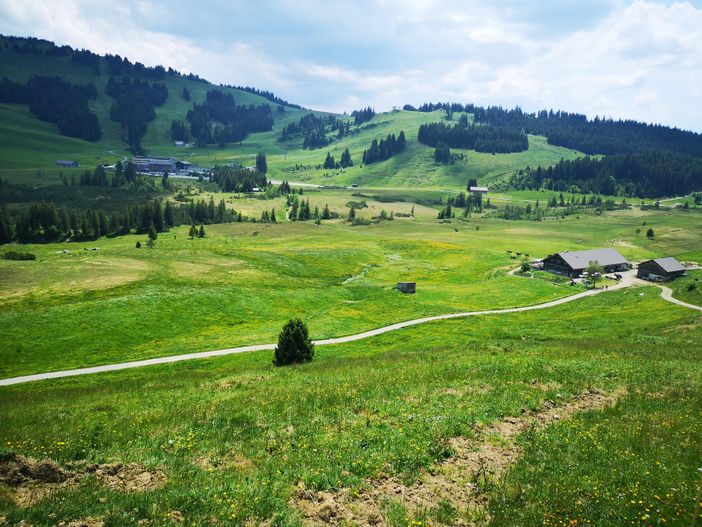 Hochhädrich