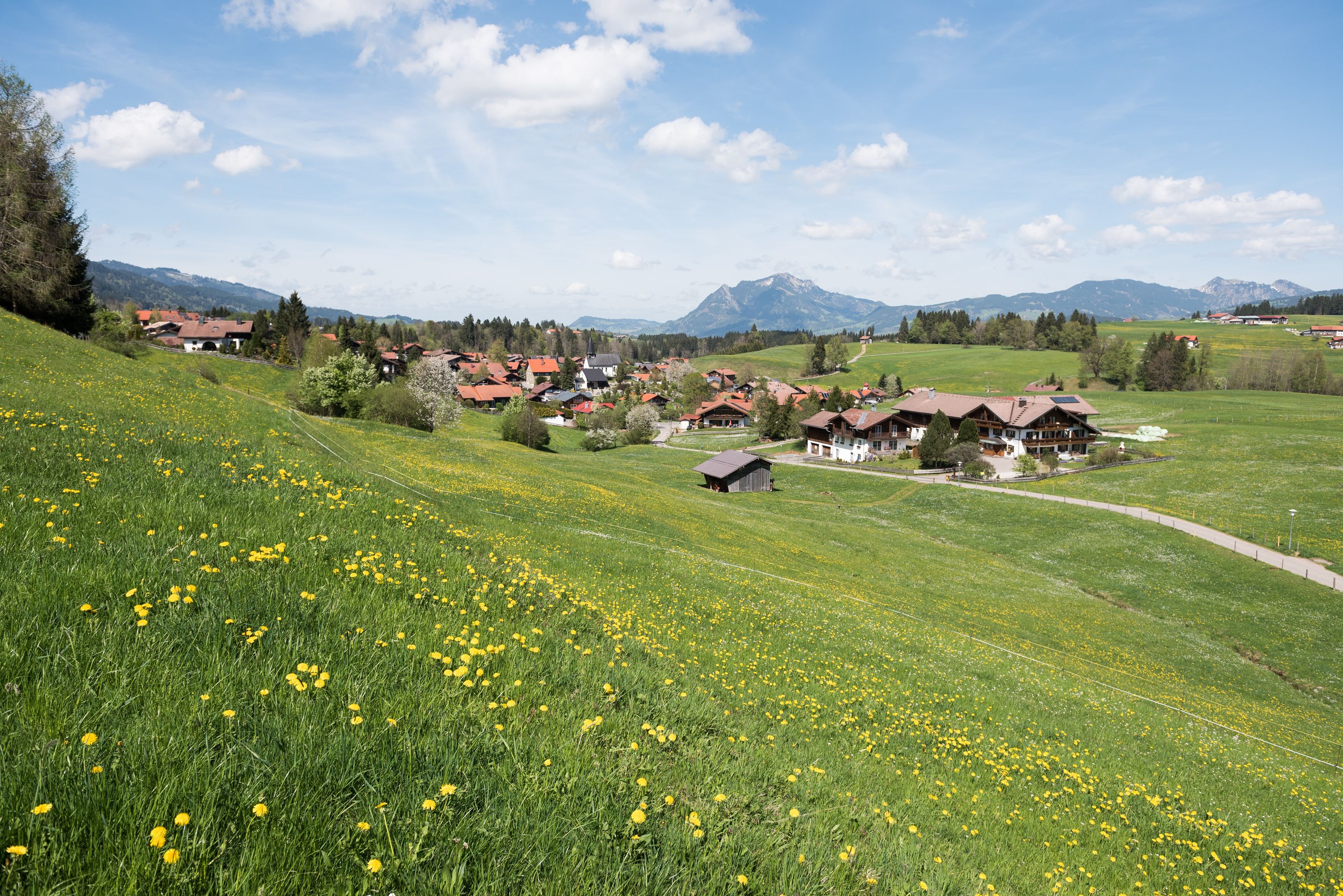 Familienwanderung über den Herrenberg | Obermaiselstein - Allgäu
