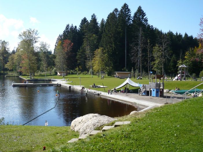 Waldsee