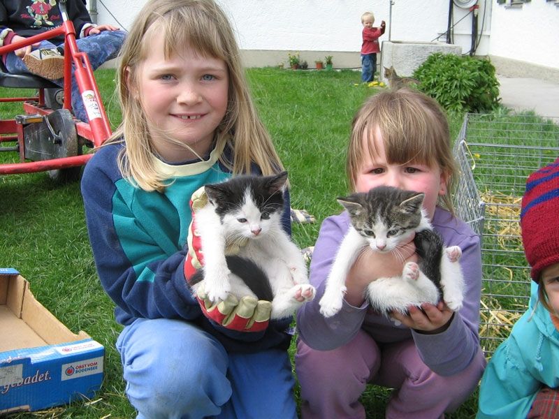Mädchen werden schnell zur Katzen-Mama