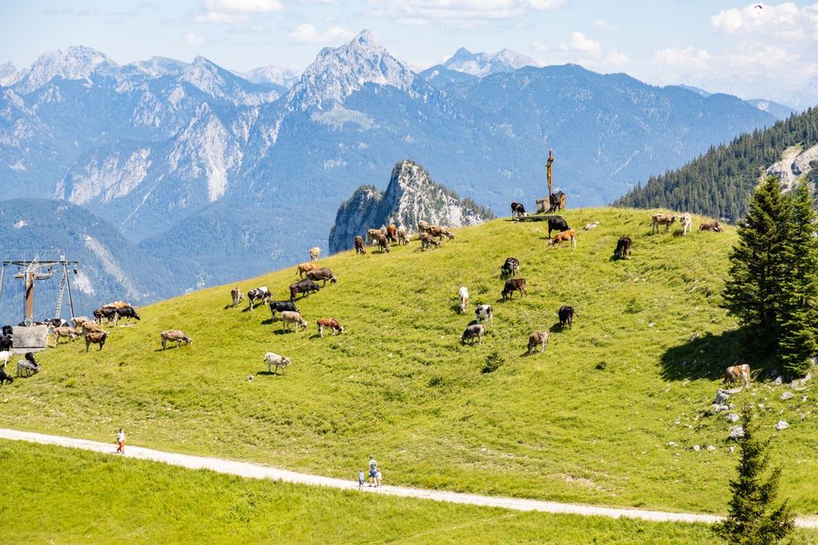 Wandern am Breitenberg