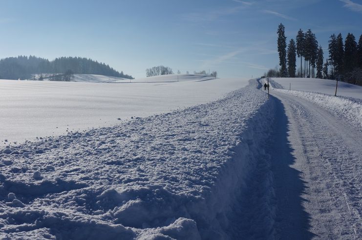 Winterlandschaft Richtung Altringenberg