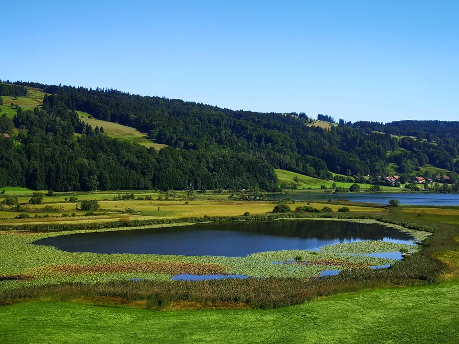 Alpsee