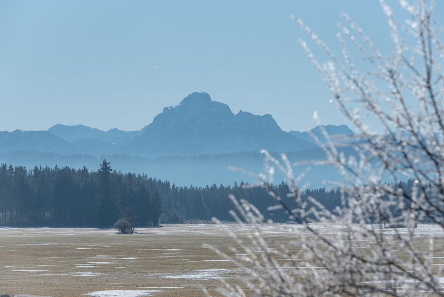 Winterlicher Ausblick auf den Säuling.