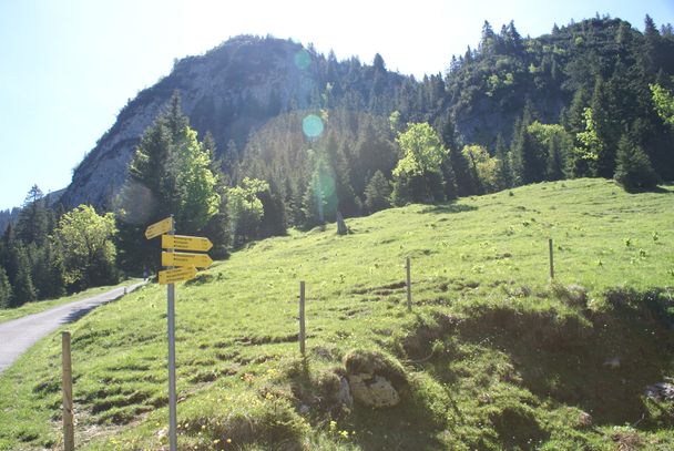 Zur Jägerhütte von Hohenschwangau