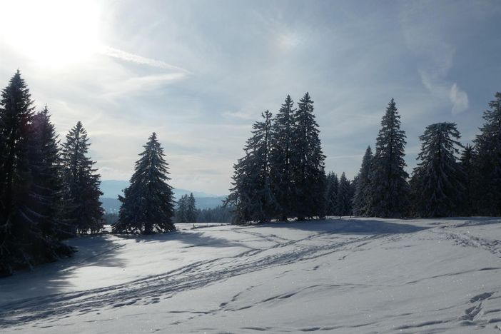 Winter im Allgäu