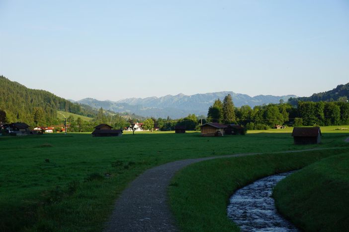 Blick_3