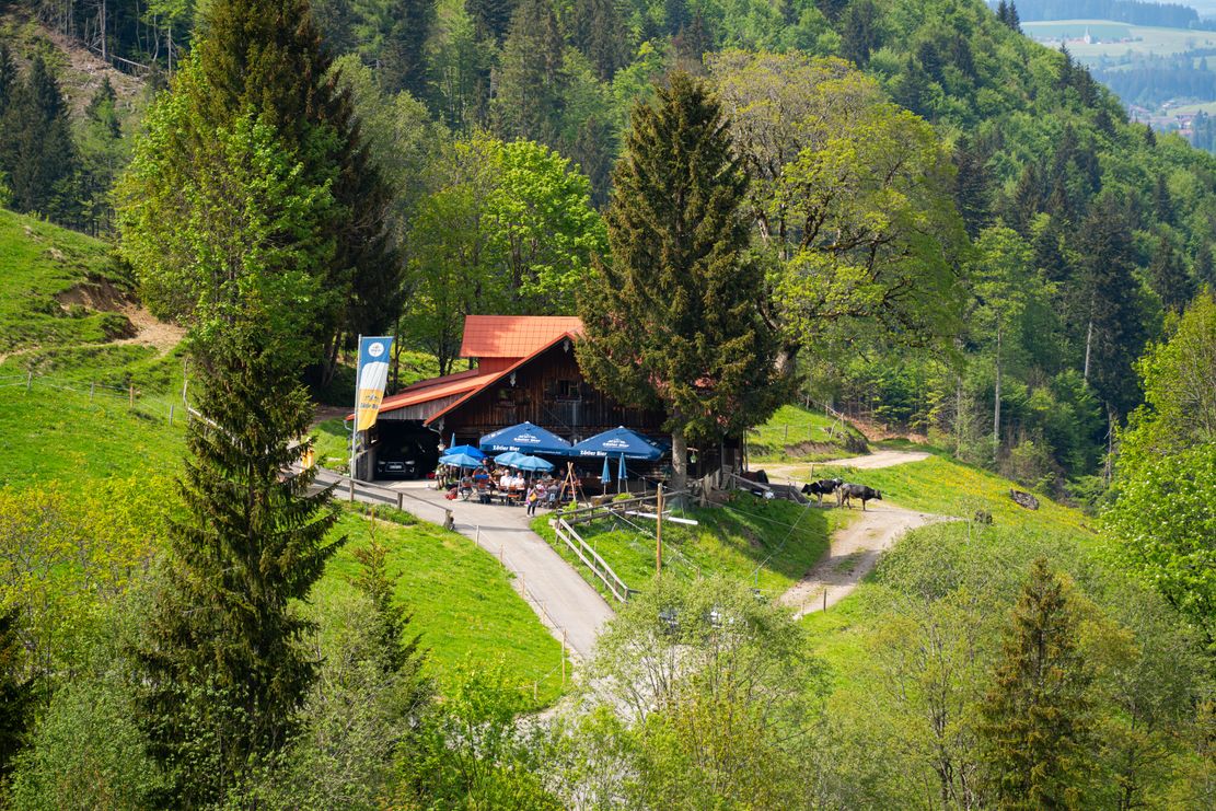 Wanderung auf den Spuren der Alpwirtschaft