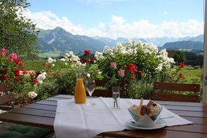 Toller Ausblick von der Terrasse af die Alpen