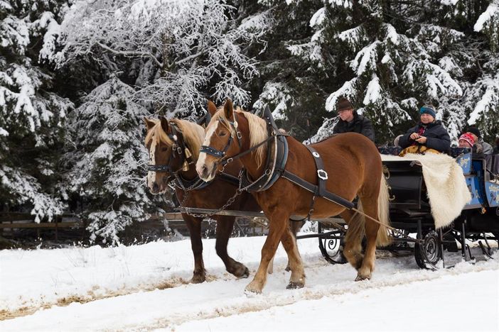 Kutschfahrt im Schnee