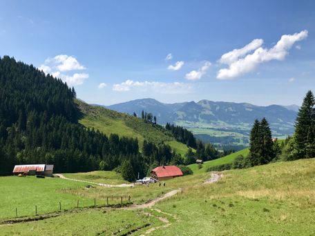 Aussicht von oberhalb der Gaisalpe auf die Hörnerkette