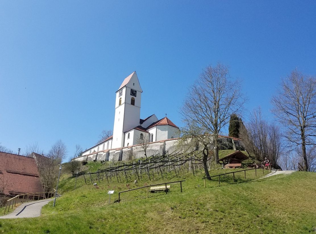 Weinberg und Kirche in Leupolz