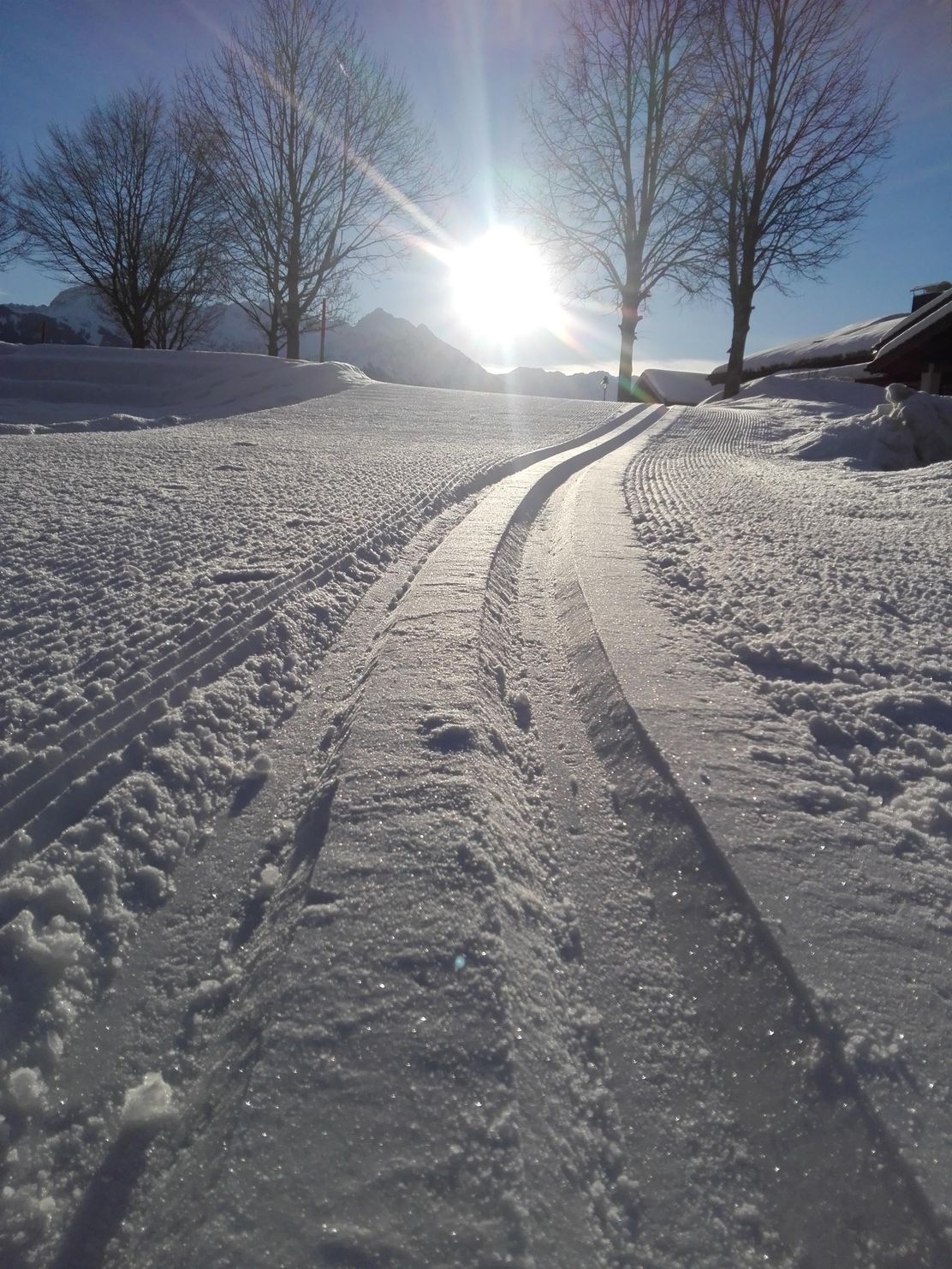 Langlauf Skating für Anfänger