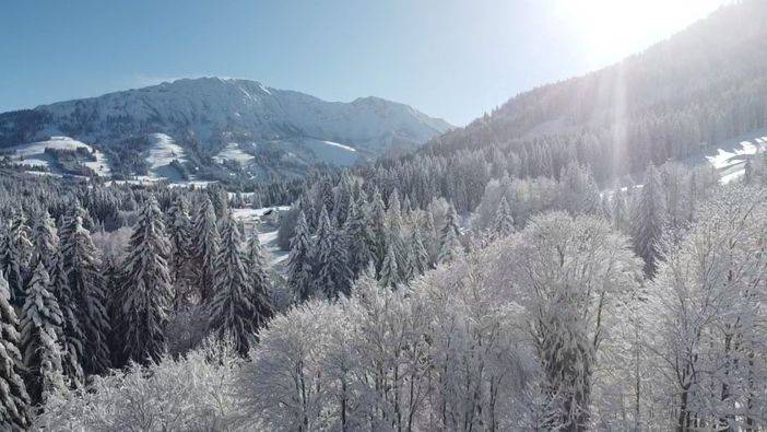 Bei uns im Winter