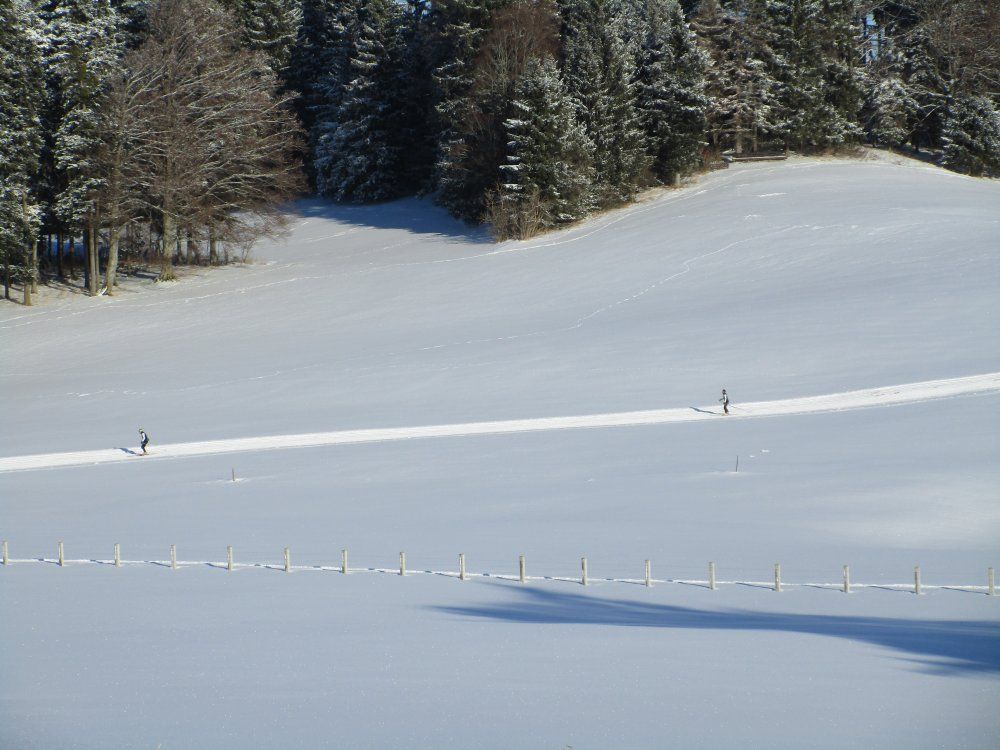 Die kostenfreie Loipe läuft direkt am Hof vorbei