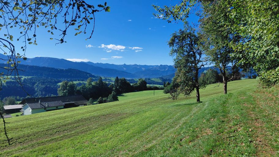 Abwechslungsreiche Kulturlandschaft
