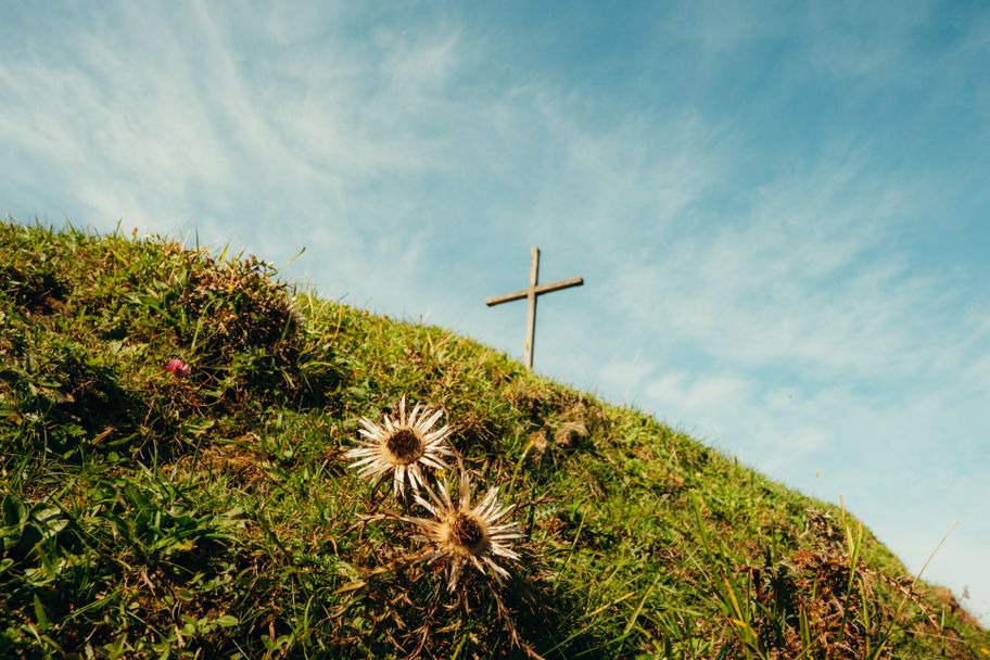 Silberdistel am Jugetkreuz