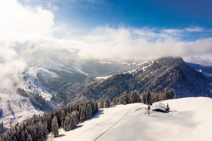 2019_01_Oberstaufen-Natur-7