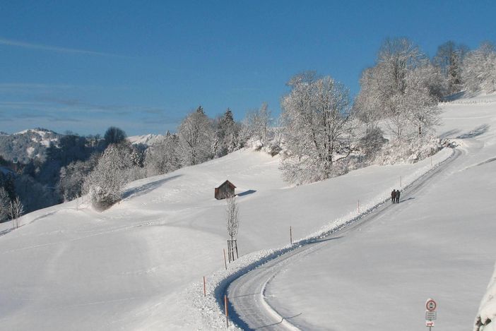 Ausblick im Winter