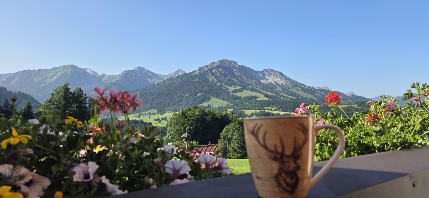 Blick vom Baklon in die tiroler Berge