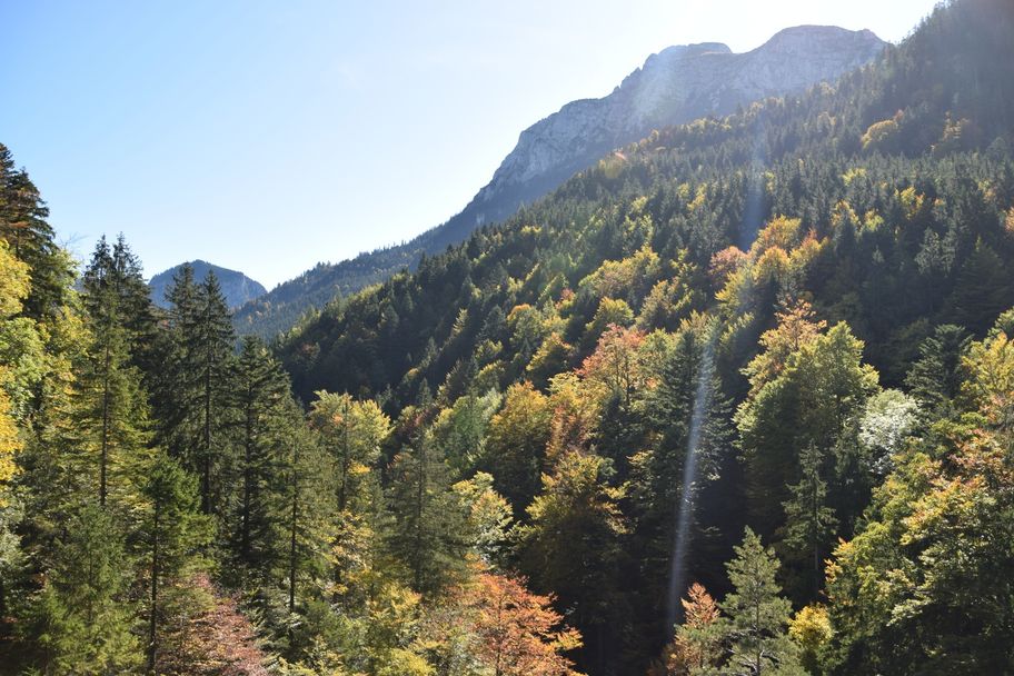 Blick ins Pöllattal von der Marienbrücke aus