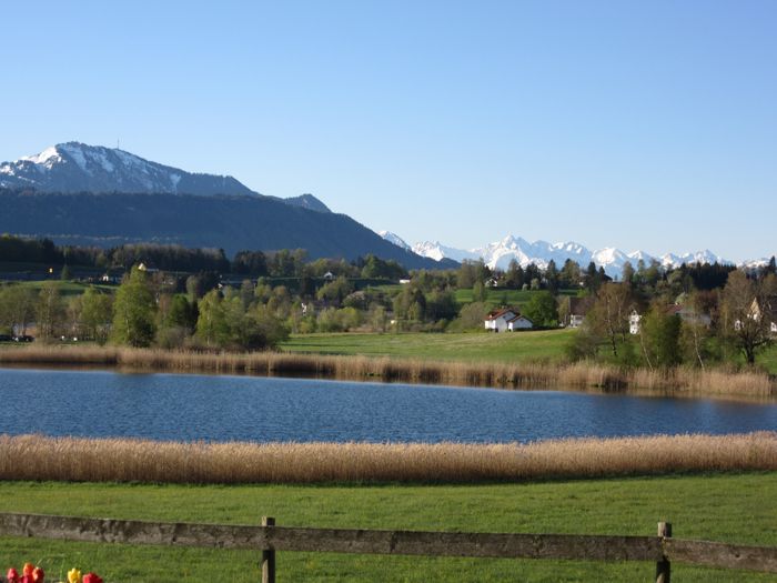 Bergblick Grünten