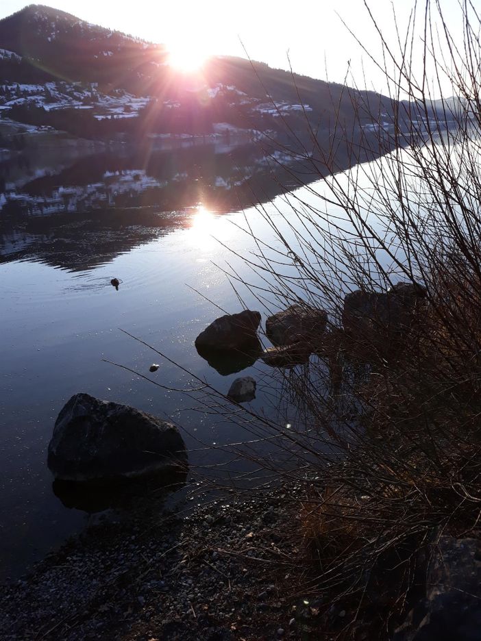 großer Alpsee