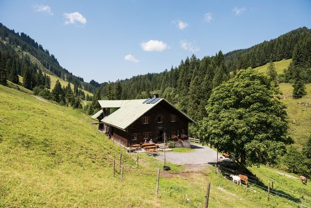 Die Herzbergalpe mit Sonnenterrasse