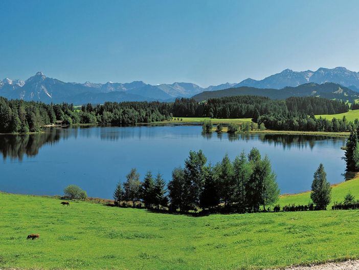 schwaltenweiher