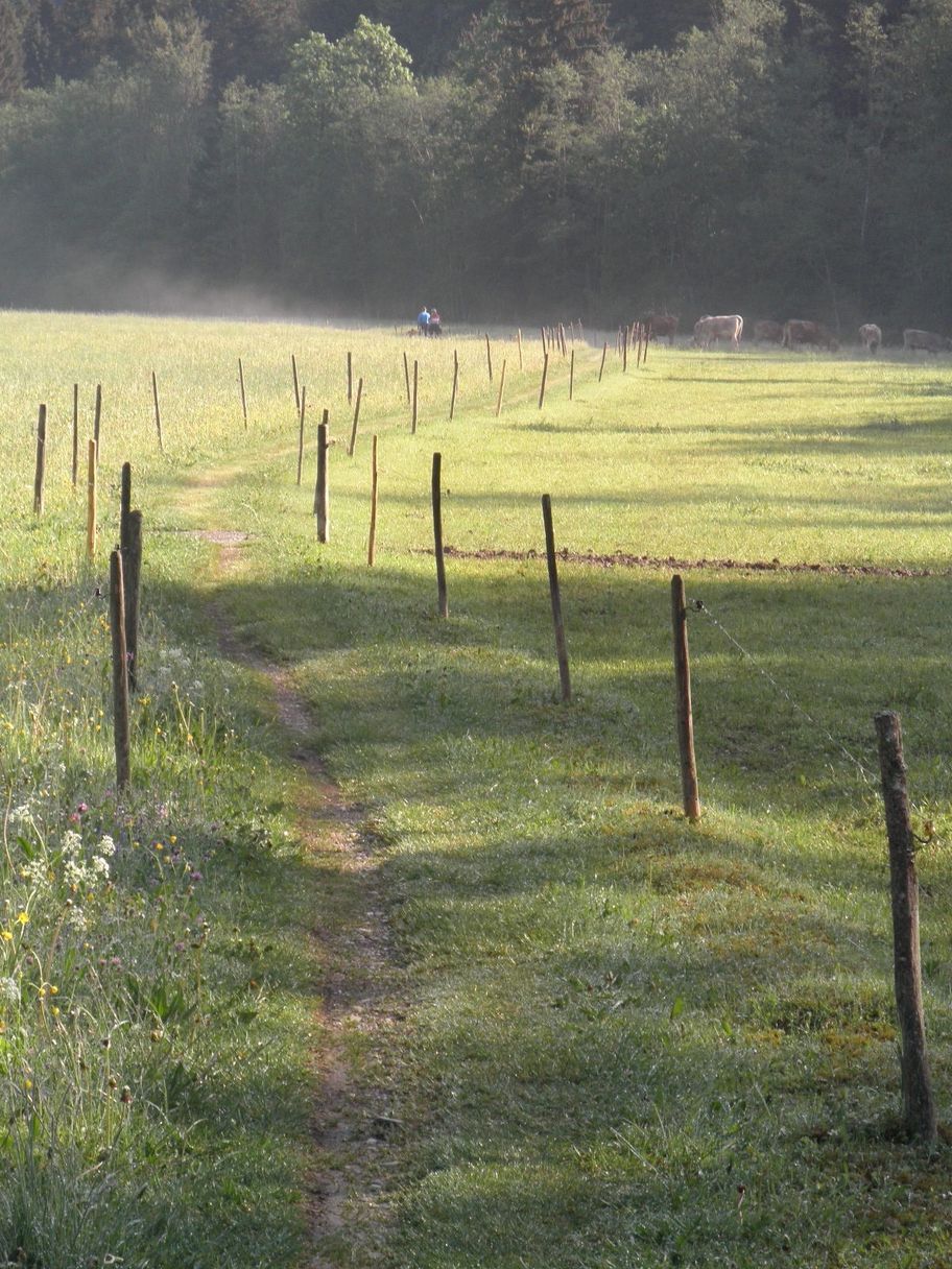Stille Wiesen an der Wertach
