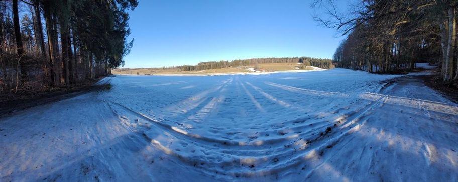 Vogellehrpfad Friesenried