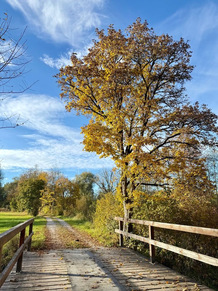 Wertach-Viehweid-Runde