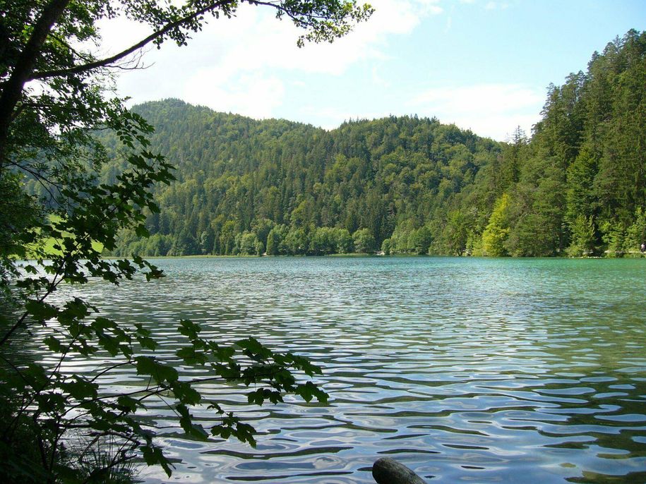 Alatsee