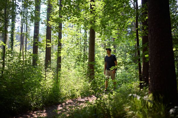 Wandern auf den Pfaden rund um Buxheim