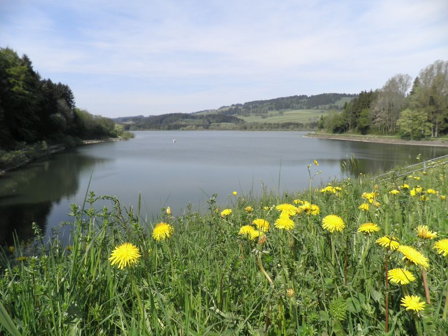 Am Grüntenseestaudamm